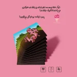 بردگیم خوکی - تصویر 2